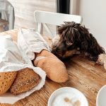 BAGUETTEtransff_e06d2f9b-633a-4794-b5a0-6d8fa6439fd0