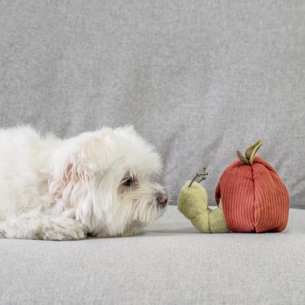 APPLE-cheekymeringue_4_3a11877e-1a34-4c85-a64b-f697a028163c