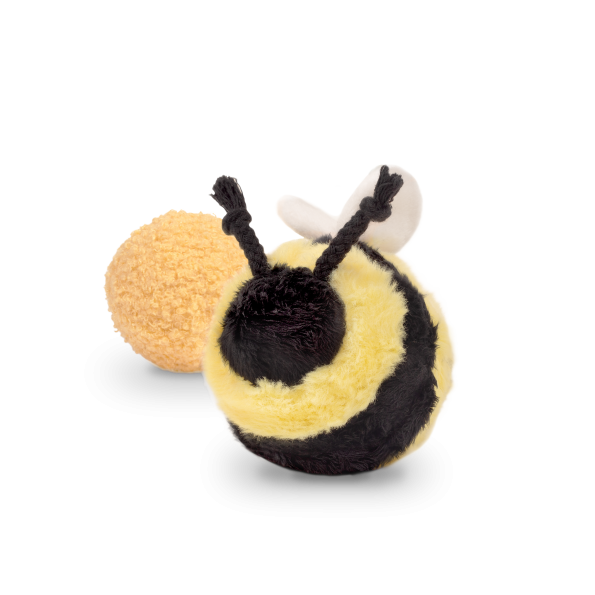 BEEPOPbright