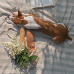 BAGUETTEtransff_e06d2f9b-633a-4794-b5a0-6d8fa6439fd0