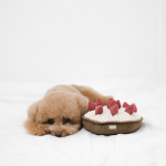 BERRYTART