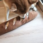 BAGUETTEtransff_e06d2f9b-633a-4794-b5a0-6d8fa6439fd0