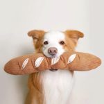 BAGUETTEtransff_e06d2f9b-633a-4794-b5a0-6d8fa6439fd0