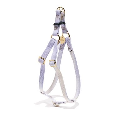 Harness