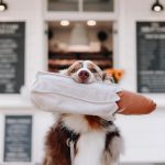 BAGUETTEtransff_e06d2f9b-633a-4794-b5a0-6d8fa6439fd0