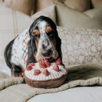 BERRYTART