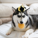 BEEPOPbright