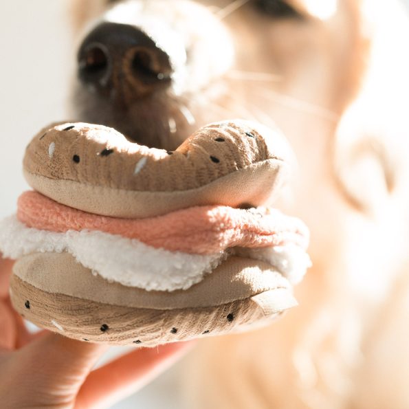 bagel-5
