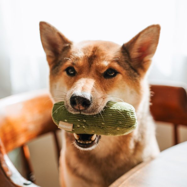 bagel-8