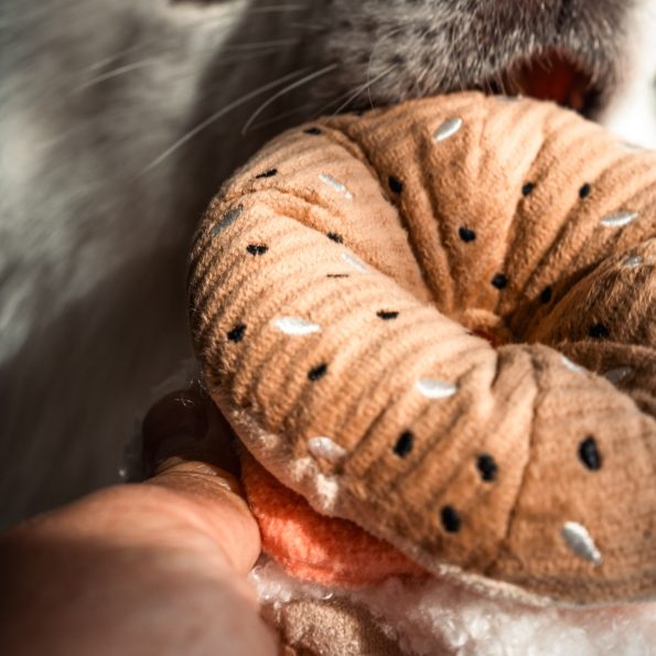 bagel-9
