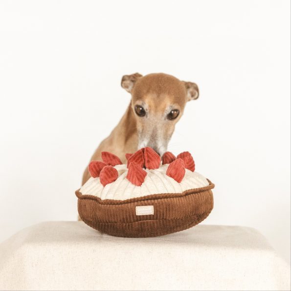 linotheiggyBERRYPIE1
