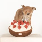 BERRYTART