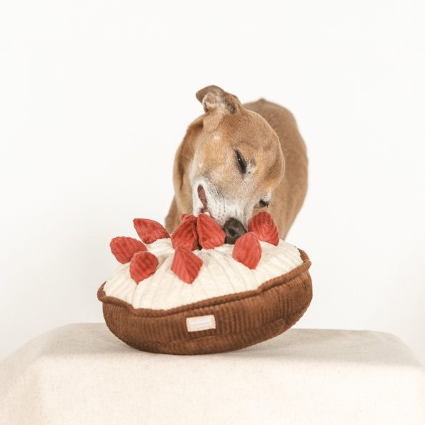 linotheiggyBERRYPIE6