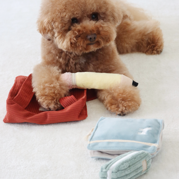 saffron.theredtoyBACKTOSCHOOLDOGGIESET2