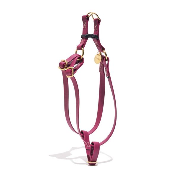 water-resistant-cat-dog-harness-berrydog-cat-harnessesfound-my-animalxs-972279