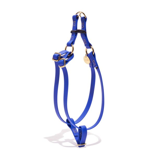 water-resistant-cat-dog-harness-bright-bluedog-cat-harnessesfound-my-animalxs-981158