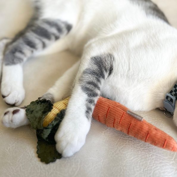 yukudiariesKITTYCARROTS5